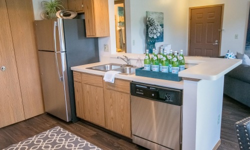 a kitchen with a fridge and a sink