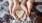 hands holding a small round object